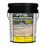 Alliance Gator Clean Efflorescence Cleaner 5 gal.