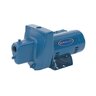 Berkeley ProJet SN Shallow Well Jet Pump Self-Priming 3/4 HP 115/230V 1 Phase Cast Iron