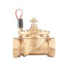 Hunter Globe Valve IBV Brass 3 in. w/ Flow Control and Filter Sentry FIPT x FIPT