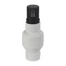 NDS Foot Valve PVC 2 in. FIPT