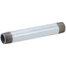 Galvanized Nipple 3/4 in. 12 in. MIPT Threaded Both Ends