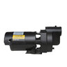 Pro-Trade 1-1/2 HP Single Phase 115/230V Self Priming Pump