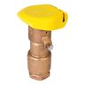 Rain Bird Quick Coupling Valve 1 in. FIPT Inlet 2 pc. Body Double Track Key Lug w/ Yellow Cover