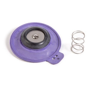 Rain Bird Diaphragm Assembly for 150 EFA and GB Valves