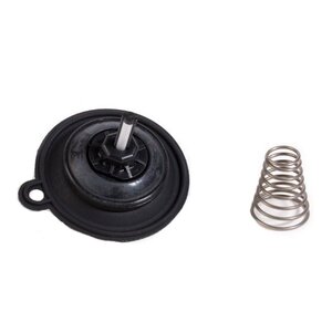 Rain Bird Diaphragm Assembly for 100PEB 1 in.