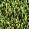 Rymar TriBlend Synthetic Turf 70 oz. Face Weight 1.8 in. Emerald Green/Olive Green/Sand Blades Tan/Green Thatching