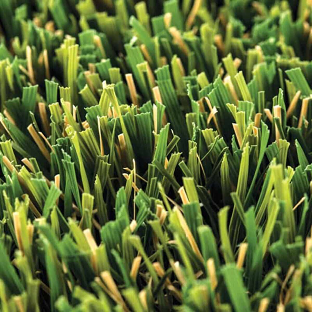 Rymar TriBlend Synthetic Turf 70 oz. Face Weight 1.8 in. Emerald Green ...