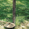A.M. Leonard Rigid Mesh Tree Guard Black High-Density Polyethylene 48 in.