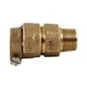 Lead Free Brass Water Service Coupling 1 in. CTS Compression x MIPT