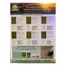 Blend Sod ElitePlus 93% Dwarf Tall Fescue / 7% Kentucky Bluegrass (per sq. ft.)
