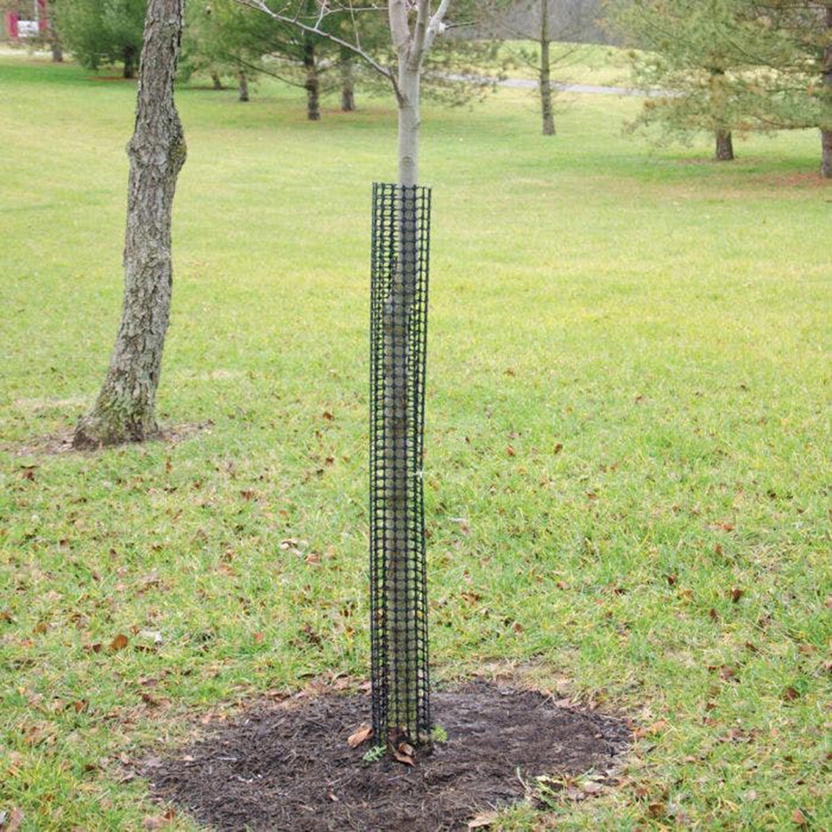 A.M. Leonard Rigid Mesh Tree Guard Black High-Density Polyethylene 48 ...