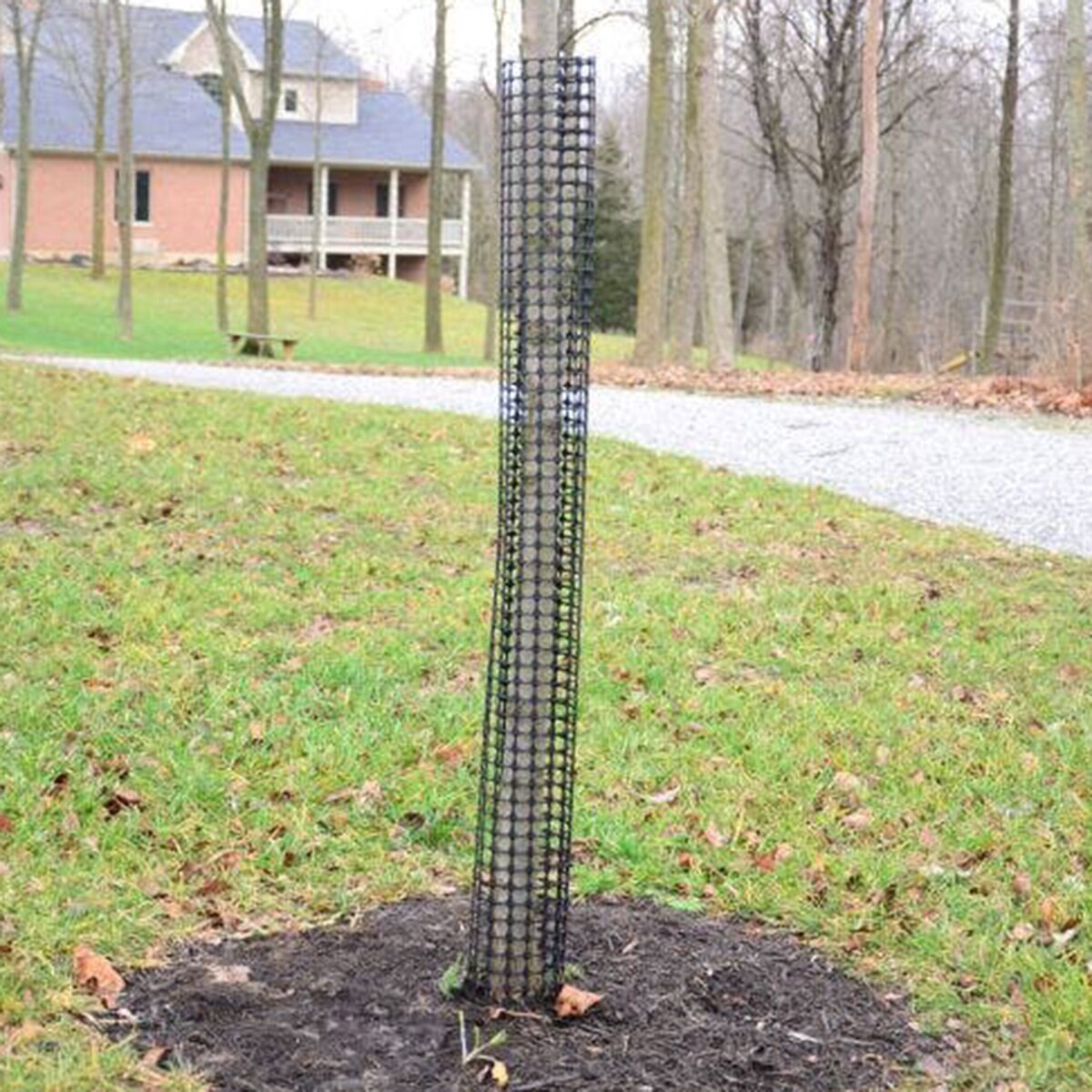 A.M. Leonard Rigid Mesh Tree Guard Black High-Density Polyethylene 48 ...