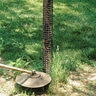 A.M. Leonard Rigid Mesh Tree Guard Black High-Density Polyethylene 36 in. Each