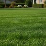 Texas Best 19-5-9 10 S 3%Fe Turfgrass Granular Fertilizer 50 lb. Bag