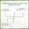 Untreated Tree Stake Lodge Pole 2 in. x 2 in. x 8 ft.