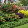 Agriform 20-10-5 Plus Minors Ornamental Tablet Fertilizer (1000 Count) 22.05 lb. Box