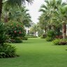 Agrowinn 10 lb. Palm & Lawn Food Fertilizer