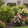 Agrowinn Organic Fertilizer Rose/Flower/Citrus/Avo 40 lb. Bag