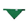 Air Bandit-Filtered Bandana, Kelly Green