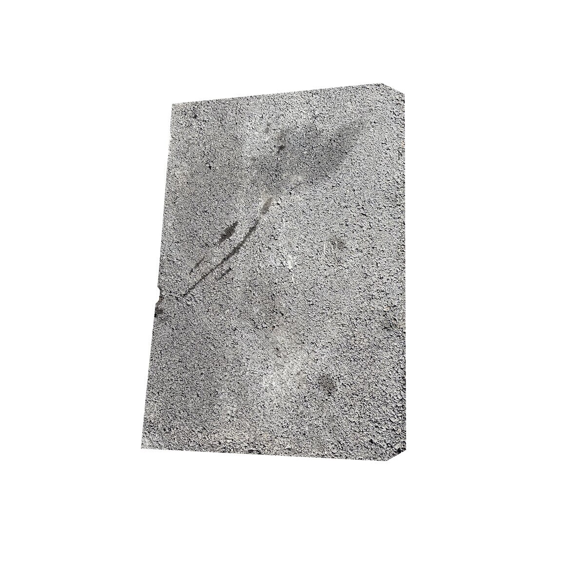 Allan Block Cap - Onyx (56 pc./pallet) | SiteOne US