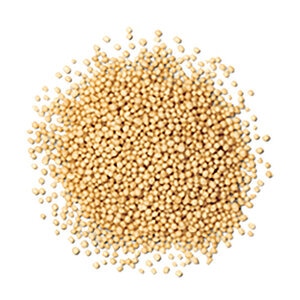 Duration 120Day Fertilizer w/ Micros 120 Day Duration 14-14-14