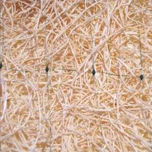 Curlex I Excelsior Blanket Single Green Net Natural 8ft x 112.5ft