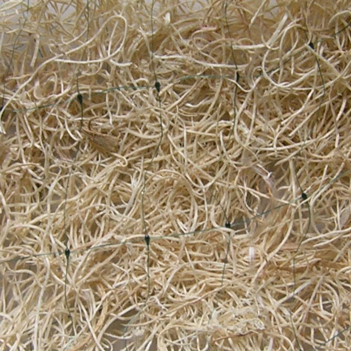 American Excelsior Curlex II Excelsior Blanket Natural Aspen Double ...