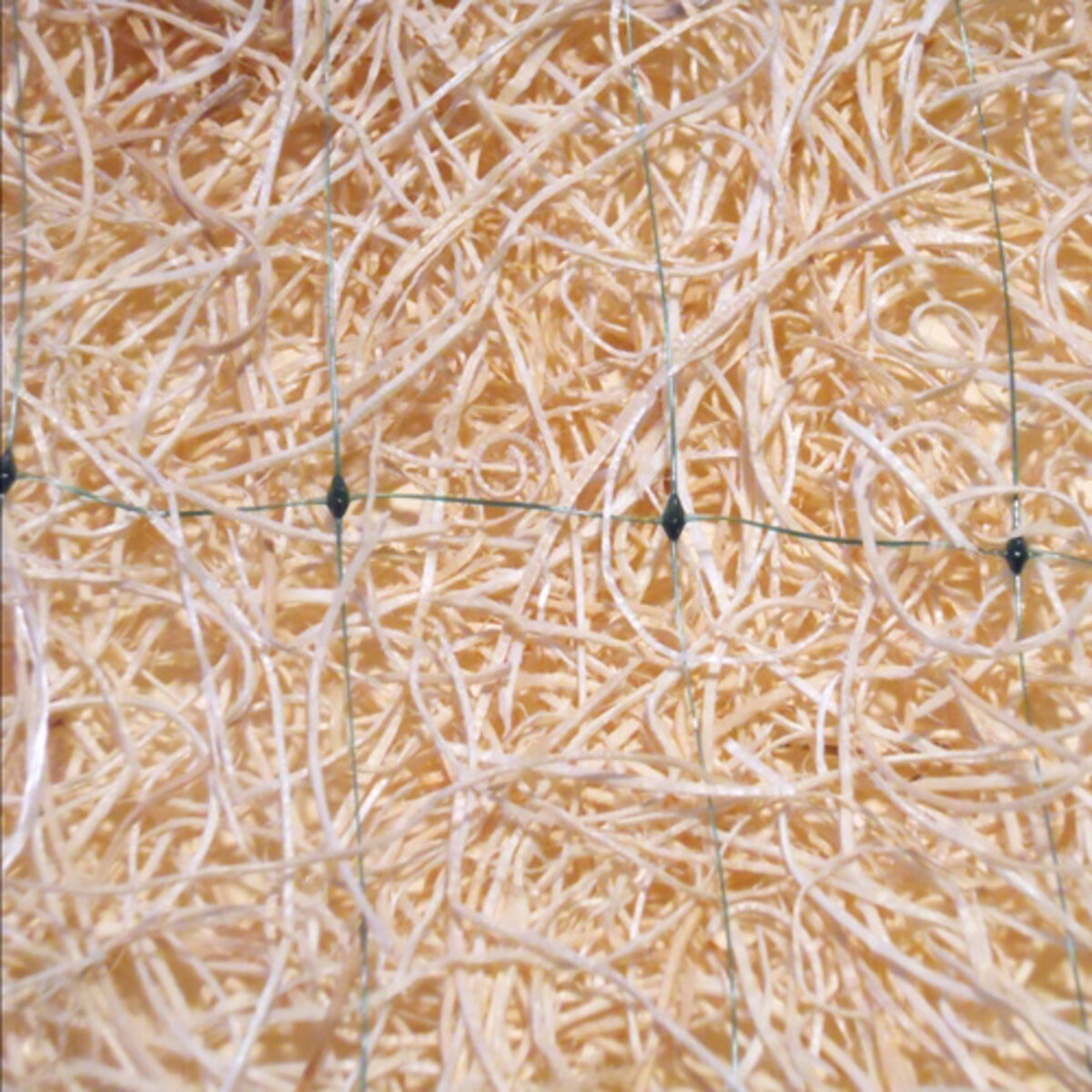 Curlex I Excelsior Erosion Control Blanket for Grass Seed Growth