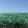 DeWitt AEC Curlex I Excelsior Blanket QuickGrass Green Single Green Net 8 ft. x 112.5 ft.