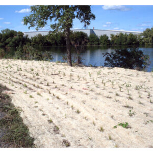 American Excelsior Curlex Netfree Excelsior Blanket Natural Aspen 8 ft. x 90 ft. 