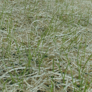 American Excelsior Curlex III Excelsior Blanket Natural Aspen Double FibreNet 8 ft. x 90 ft. 