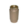 Check Valve Lead Free Brass 1-1/4 in. FIPT