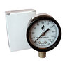 American Granby Pressure Gauge 1/8 in. 0 PSI - 100 PSI