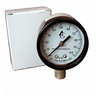 EIPG Series Dry Pressure Gauge 0 PSI - 100 PSI Lead Free 2 in. Dial 1/4 in. MIPT (Bottom)