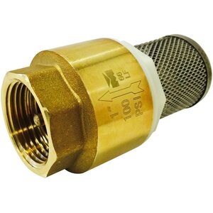 Foot Valve Brass 1 in. FIPT