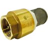 Foot Valve Brass 1 in. FIPT