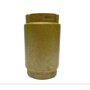 Brass Spring Check Valve 1 in.