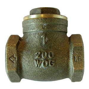 Swing Check Valve SxS 1 in. Brass 