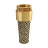 Foot Valve 1 in. Brass