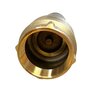 11/4 in. Brass Foot Valve Low Lead