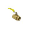 Ball Valve (Sweat) 1 in. Brass w/ PEX & F1960