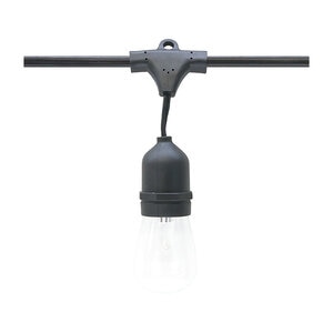 American Lighting LS2-M Series Light String with 24 E26 LED Lamps, 48 ft. Length, 24 in. Socket Spacing, Black PVC Jacket, 120V, 25W