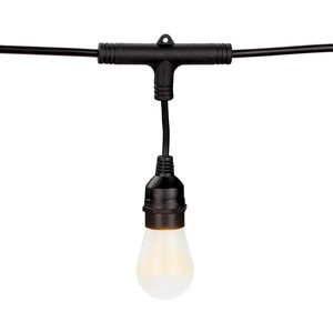 American Lighting String Light 48' 2' Spacing RGBW Spektrum+
