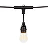 American Lighting String Light 48' 2' Spacing RGBW Spektrum+
