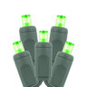 American Lighting Standard Grade 5mm LED Light String 50 LED 6 in. Spacing 120V 4.8W Green