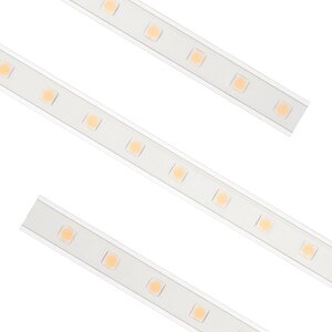 American Lighting 120V Hybrid 2 RGB 12 ft. 81W LED