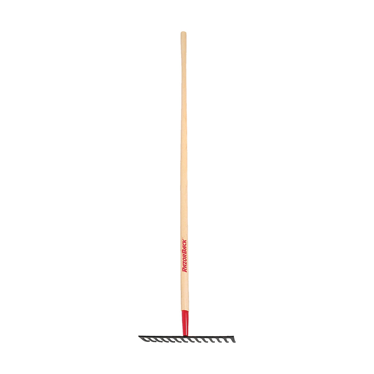 Ames Level Head Rake 14 Tine Forged Wood Handle | SiteOne US