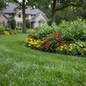 Andersons 18-24-12 25%CRN Fertilizer 50lb.