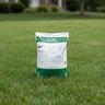 Anderson 22-0-3 50%SN 2% Fe 2.54% Mg Turfgrass Granular Fertilizer 50 lb. Bag