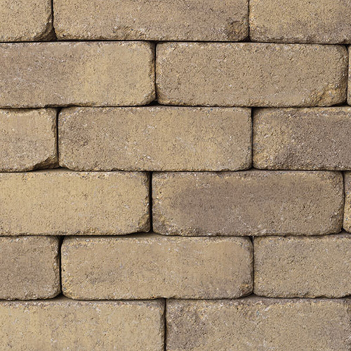Angelus Rustic Wall Block Stone Sand/Stone/Mocha 8 in. x 4 in. x 12 in ...